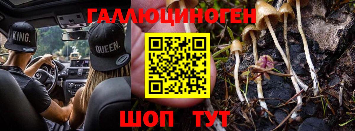 Псилоцибиновые грибы MAGIC MUSHROOMS  Вход с VPN  Псилоцибиновые грибы Magic Shrooms  продажа наркотиков  Биробиджан 